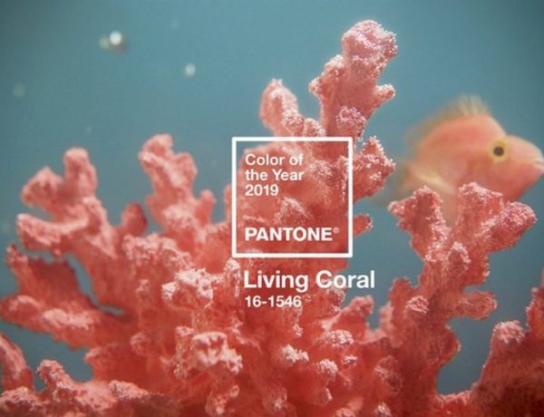 Pantone Anounces Living Coral as the 2019 Color of the Year